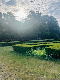 Fresh Summer Mornings